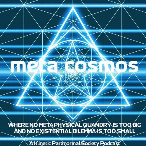 Meta-Cosmos