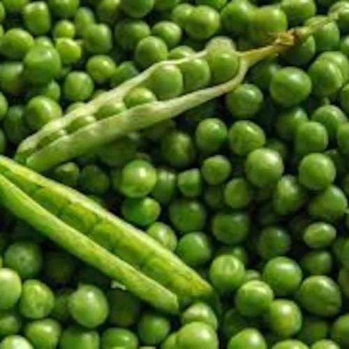 Three Peas in a Podcast (For now)