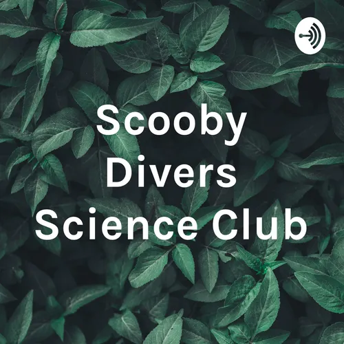 Scooby Divers Science Club