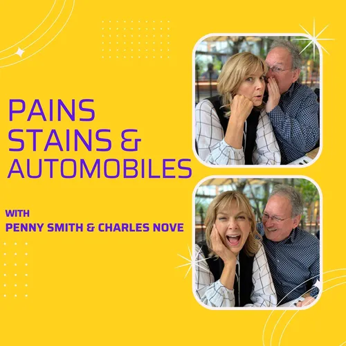 Pains Stains & Automobiles