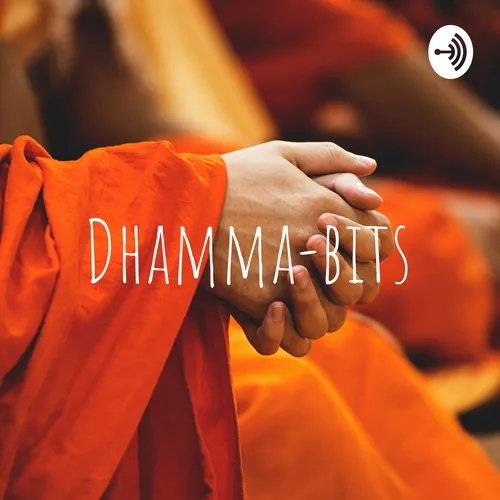 Dhamma-bits