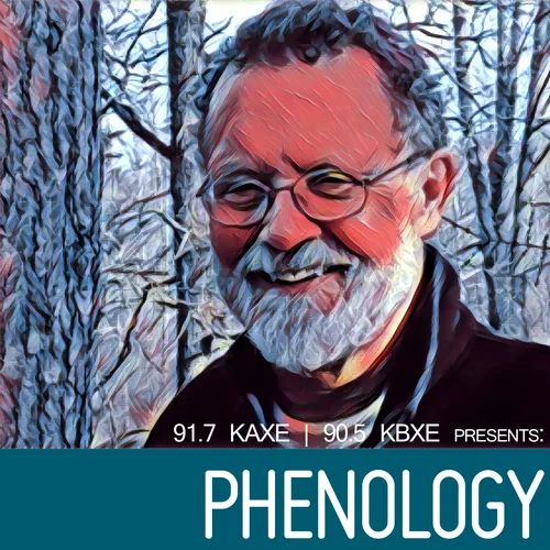 Phenology