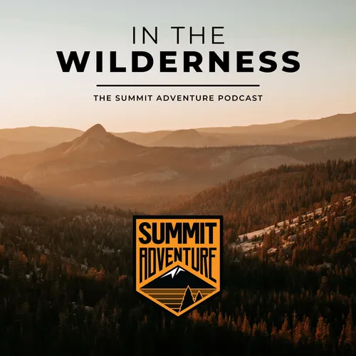 In the Wilderness