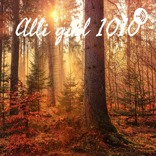 Alli girl 1010
