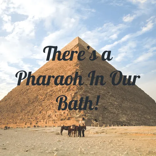 There's a Pharaoh In Our Bath!