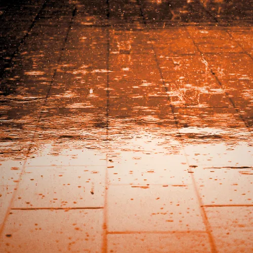 Rain Industry