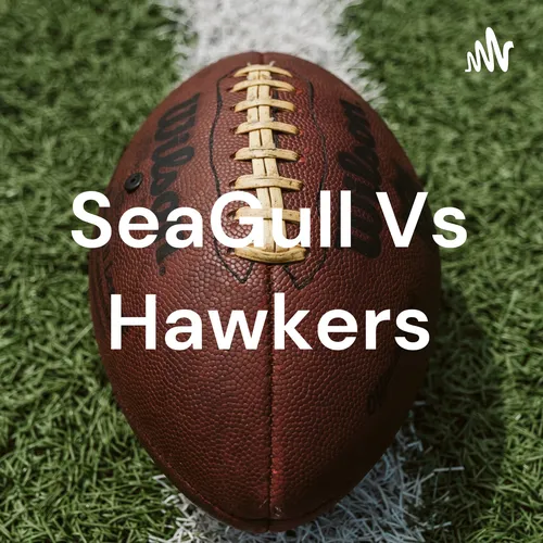 SeaGull Vs Hawkers