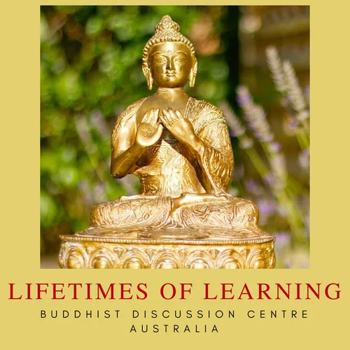 Lifetimes of Learning