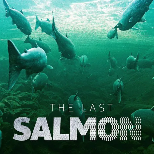 The Last Salmon
