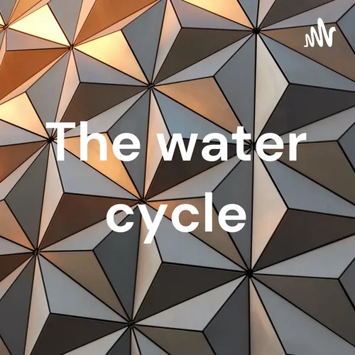 The water cycle