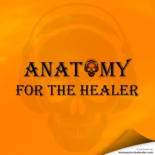 Anatomy for the Healer
