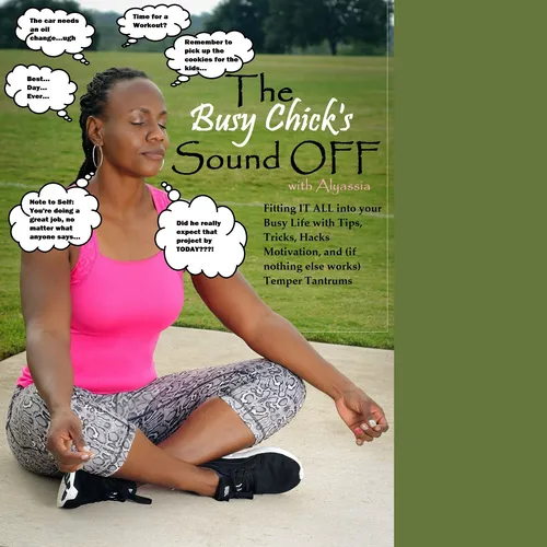 The Busy Chick's Sound Off