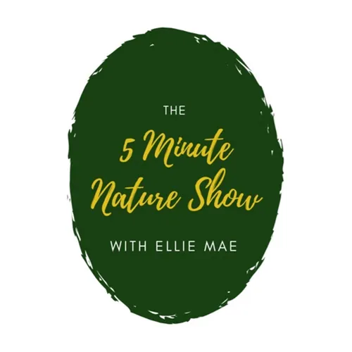 5 Minute Nature Show