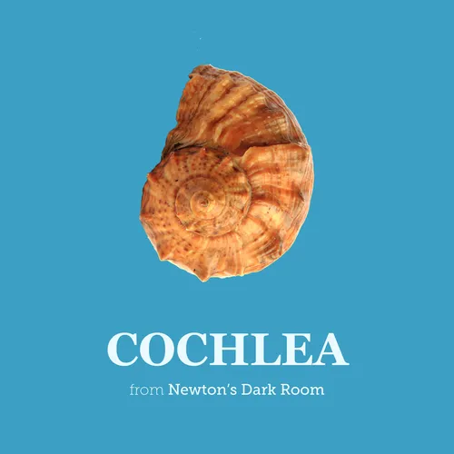 Cochlea