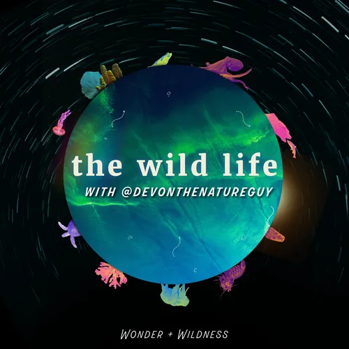 The Wild Life