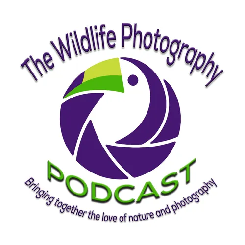 Wildlife Photography