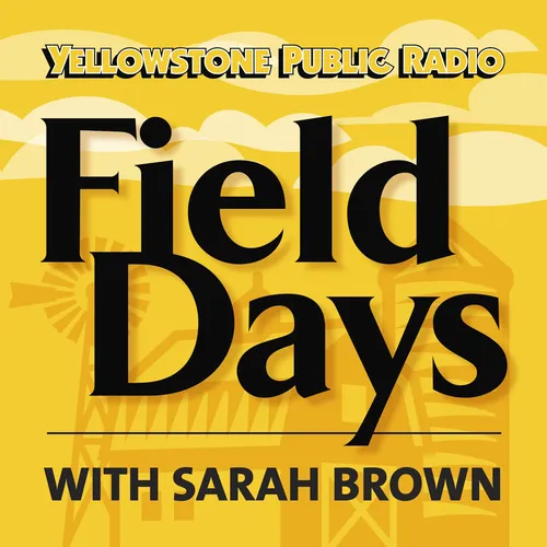 Field Days