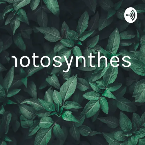 Photosynthesis