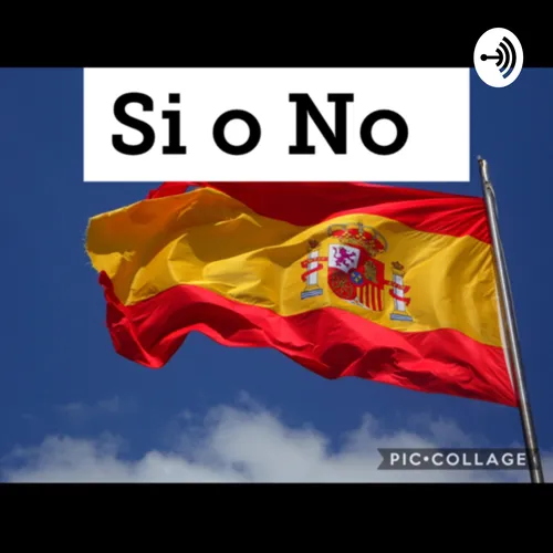 Si o No