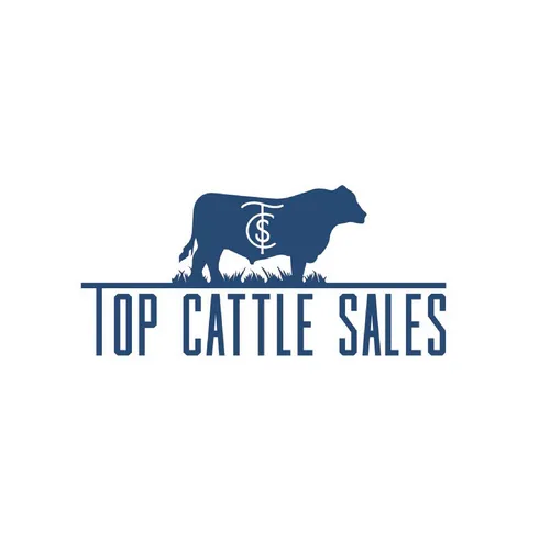Top Cattle Sales