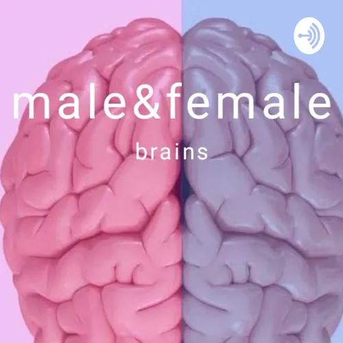 The Tale Of Two Brains