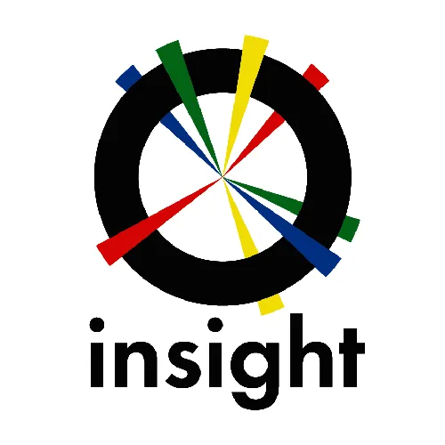 insight
