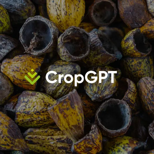 CropGPT - Cocoa