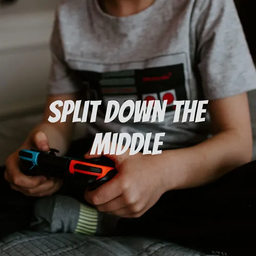 Split Down the Middle: Divisive Video Games