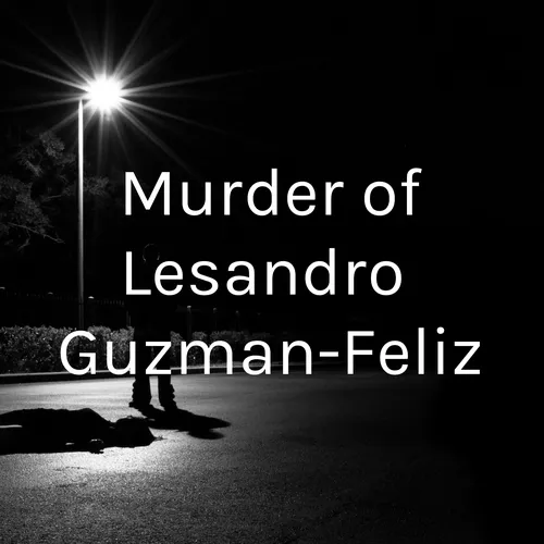 Murder of Lesandro Guzman-Feliz
