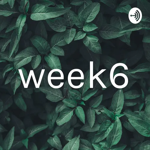 week6