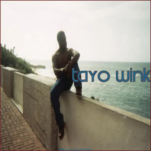 Tayo  Wink's Journey Through House