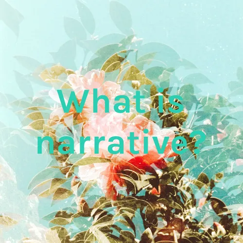 What is narrative?