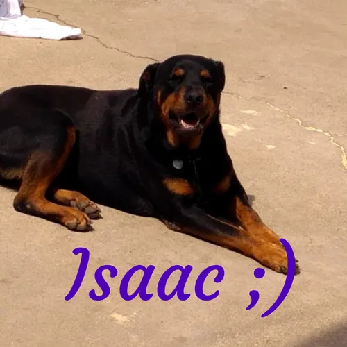Isaac ;)