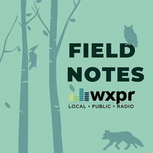 WXPR Field Notes