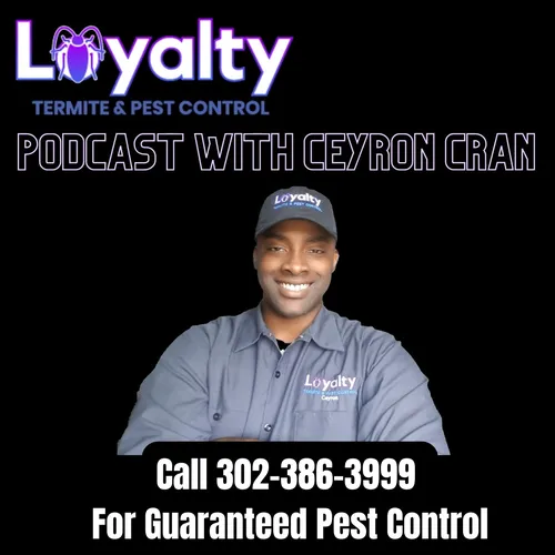 Loyalty Termite