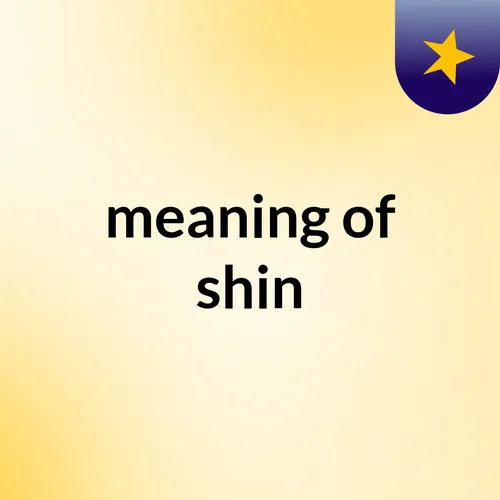 meaning of shin