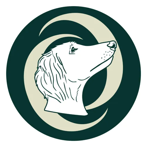 Holistic Dog