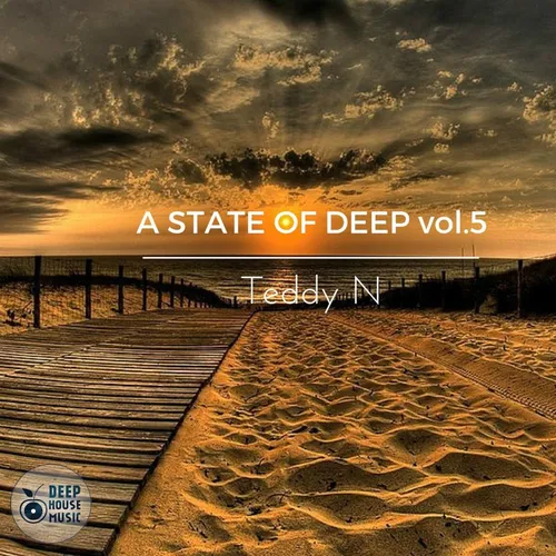 Teddy N - A State Of Deep vol.5