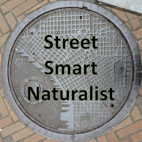 Street Smart Naturalist