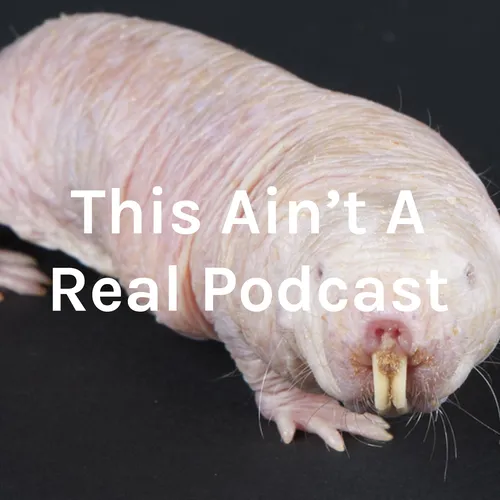 This Ain't A Real Podcast