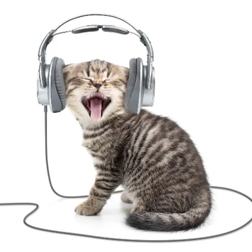 Listening Practice 2