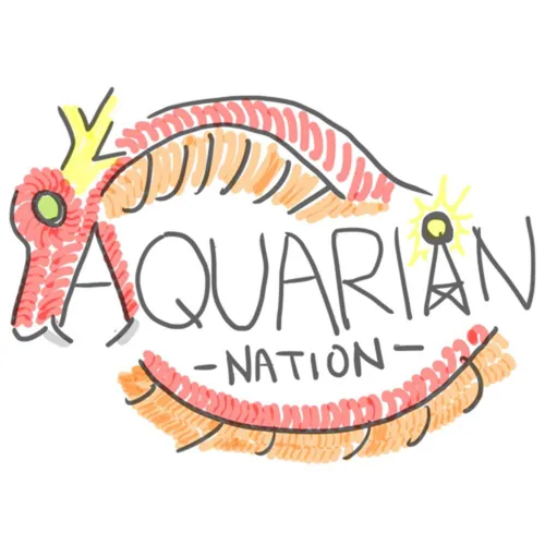 The Aquarian Nation