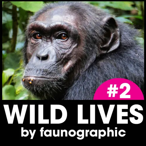 WILD LIVES