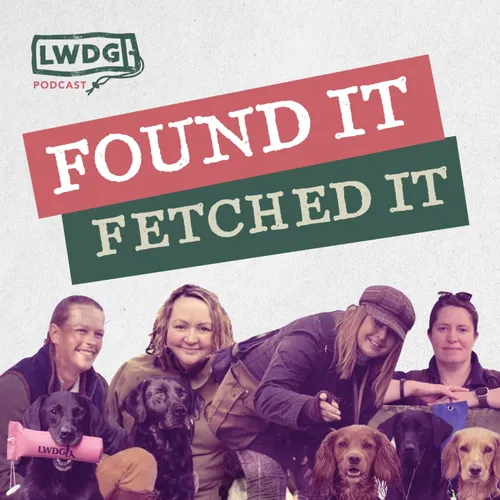Switch Off Series Live 4: Why Your Gundog Still Won't Settle After A Walk