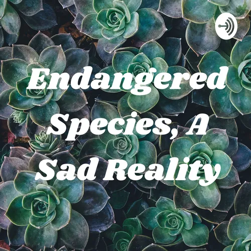 Endangered Species, A Sad Reality