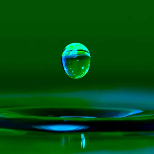 The Waterers