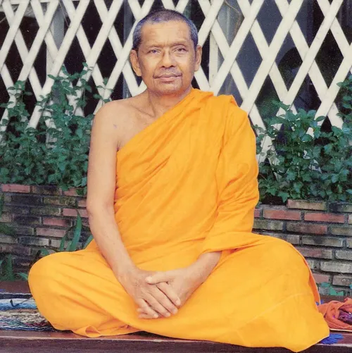 หลวงพ่อมหาวีระ ถาวโร (พระราชพรหมยานมหาเถระ วัดท่าซุง)