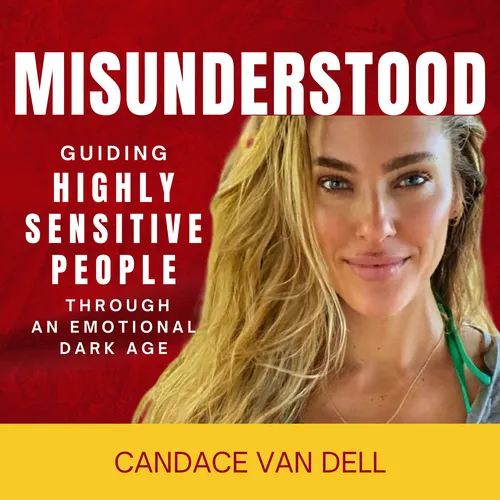 MISUNDERSTOOD: Guiding Highly Sensitive People Through An Emotional Dark Age
