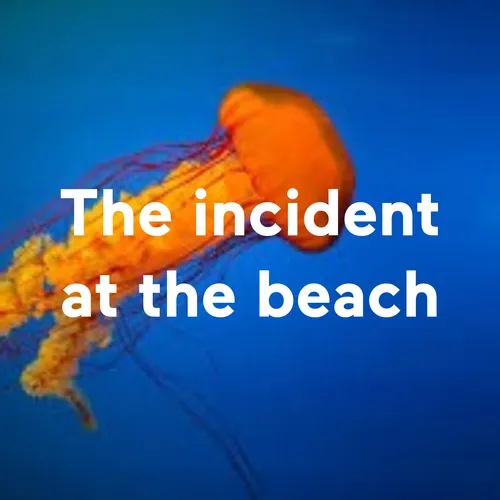 The incident at the beach