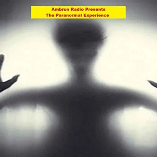 The Paranormal Experience